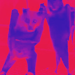 live on yo ring Feat. Zäy(Prof.x), Jam1è