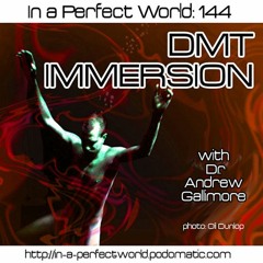 144. DMT Immersion