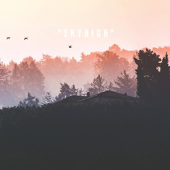 Skyhigh