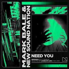 Mark Bale & New Sound Nation - Need You
