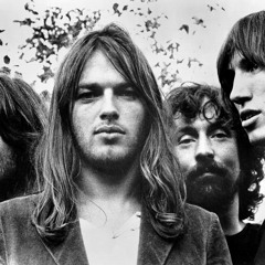 Pink Floyd on Indian Classical Instruments