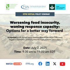 Worsening food insecurity, waning response capacity: Options for a better way forward