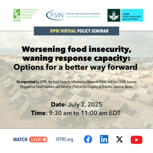 Worsening food insecurity, waning response capacity: Options for a better way forward