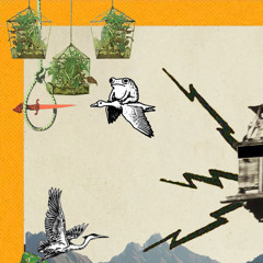 Slow-motion Tangerine Peeling