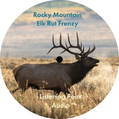 Listening Point Audio - Rocky Mountain Elk Rut Frenzy_sample