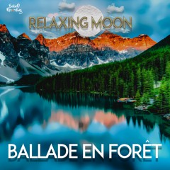 Ballade en forêt