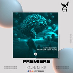 PREMIERE: Martin Dubiansky - Trenety (Ian Ludvig Remix) [Steyoyoke Black]