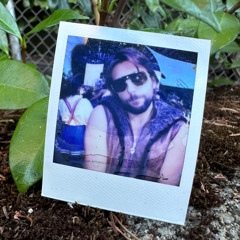 Friends in a Forest at Dusk 7/21/2025