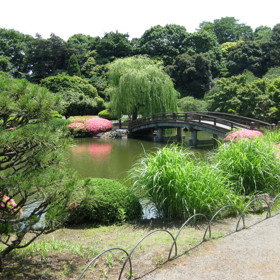 the 8 best places to take pictures in tokyo