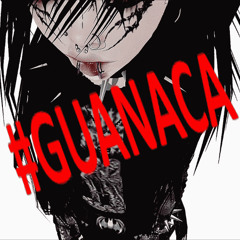 #GUANACA + killamane
