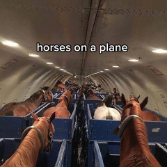 Horses On A Plane (Ready 4 The Rave)