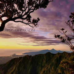 BIRDS OF PARADISE REMIX