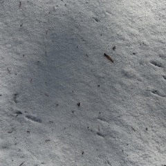 Snowfall .wav