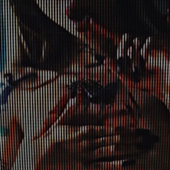 SH! [Prod. HANGINGSKELETONS]