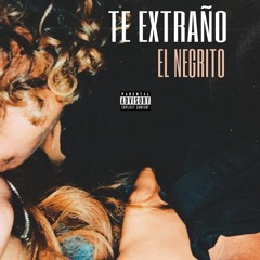 Te Extraño