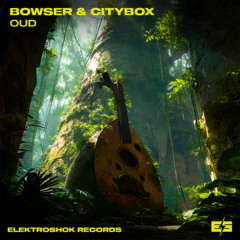 Bowser & Citybox - Oud