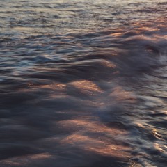 巳年/Year of the Serpent