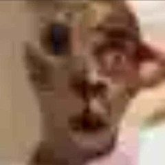 nouvelle vodeo