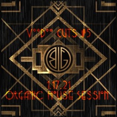 Voodoo Cuts #5 - Organic House Session [1.17.21]
