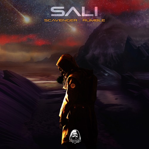 SAli - Scavenger