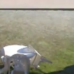 Seeing It Everywhere (1001 ways)