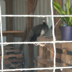 Other5 (prod.wintheirhearts)