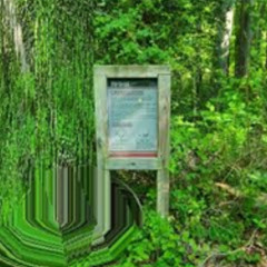 Banana Nuffin' ( Hi Kerr)