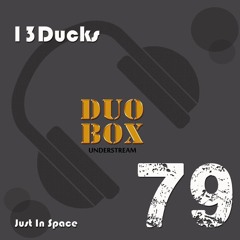 13Ducks - Just In Case.(Original Mix)