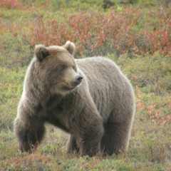 Declan Sharpe First Songs, Life, Death, and Everything In Between