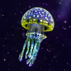 MoonJelly Jams Vol. 18