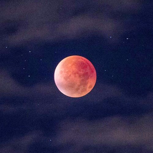 Neverending Torment (Prod. Felipe)