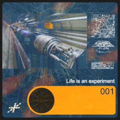 Life is an experiment 001