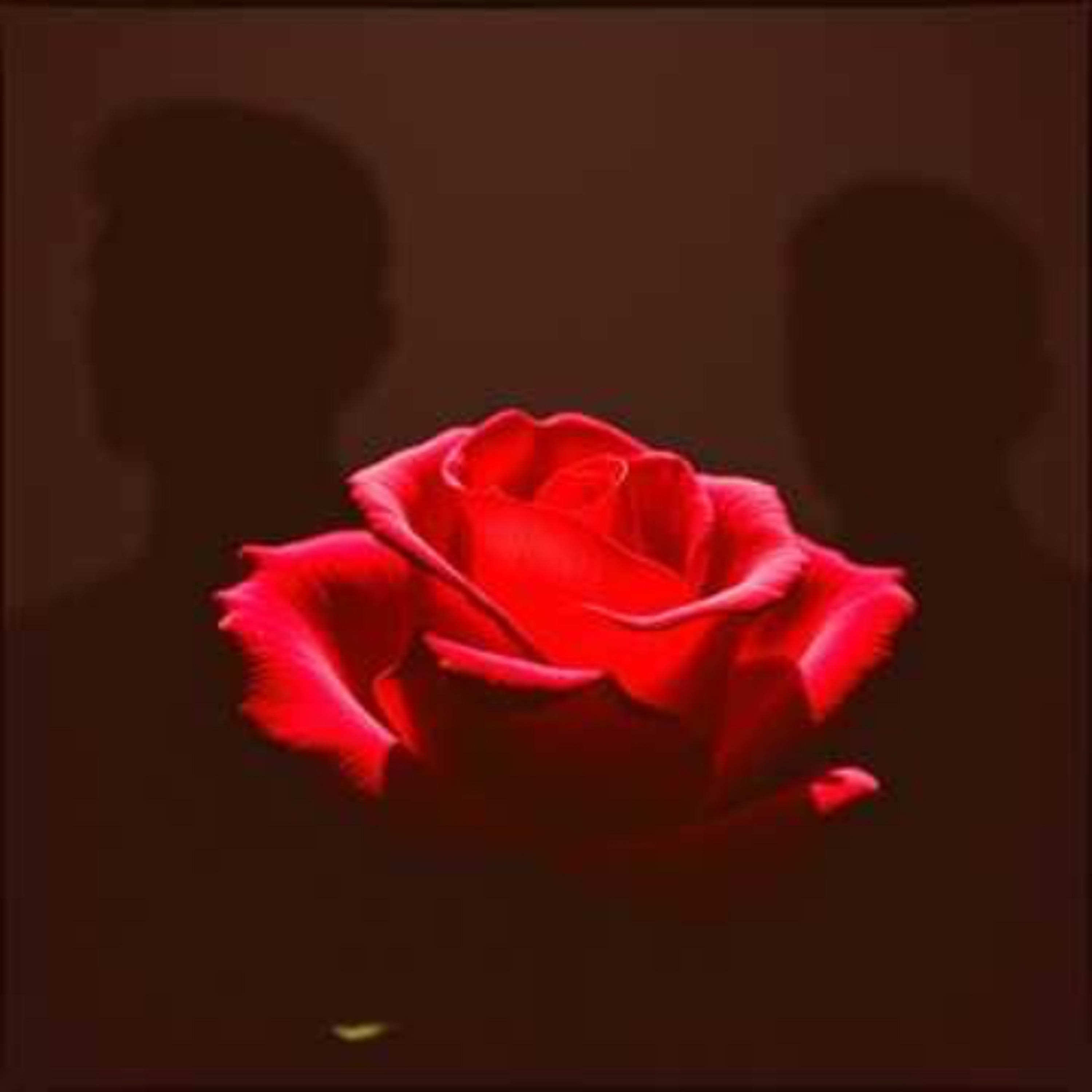 Red Flags episode artwork