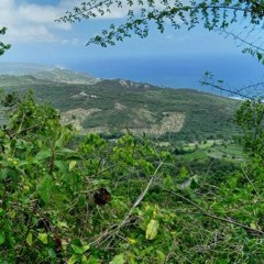 KimP - Nova Luna PEG Farm 2024