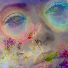 The Painter Birdy Hotel (1970) with joerxworx