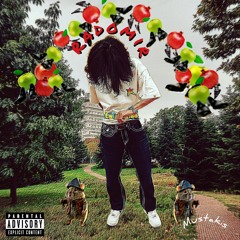 RADOMIR - ft. Realman