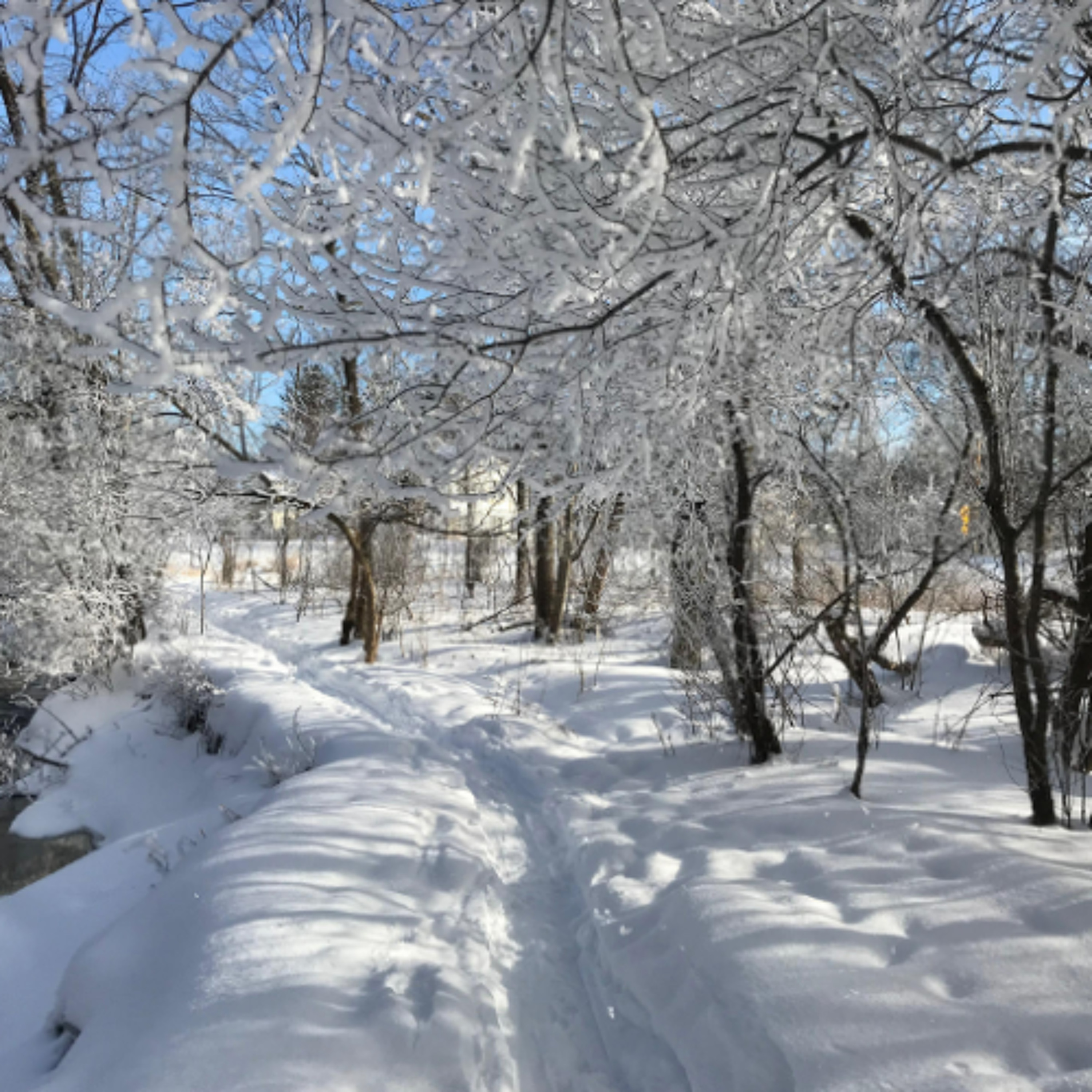 News You Need to Know - Winter, Gardens, and Traditions (12/29/25)