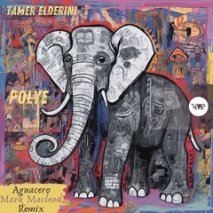 𝐏𝐑𝐄𝐌𝐈𝐄𝐑𝐄: Tamer ElDerini - Polye (Aguacero Remix) [Camel VIP Records]