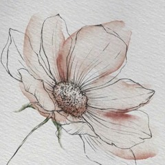 1 Step Forward and 3 Steps Back - cover