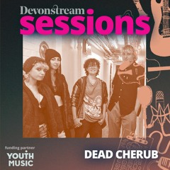 Dead Cherub: Mr Meat Man (Devonstream Session)