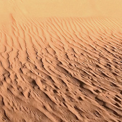 The Lone and Level Sands
