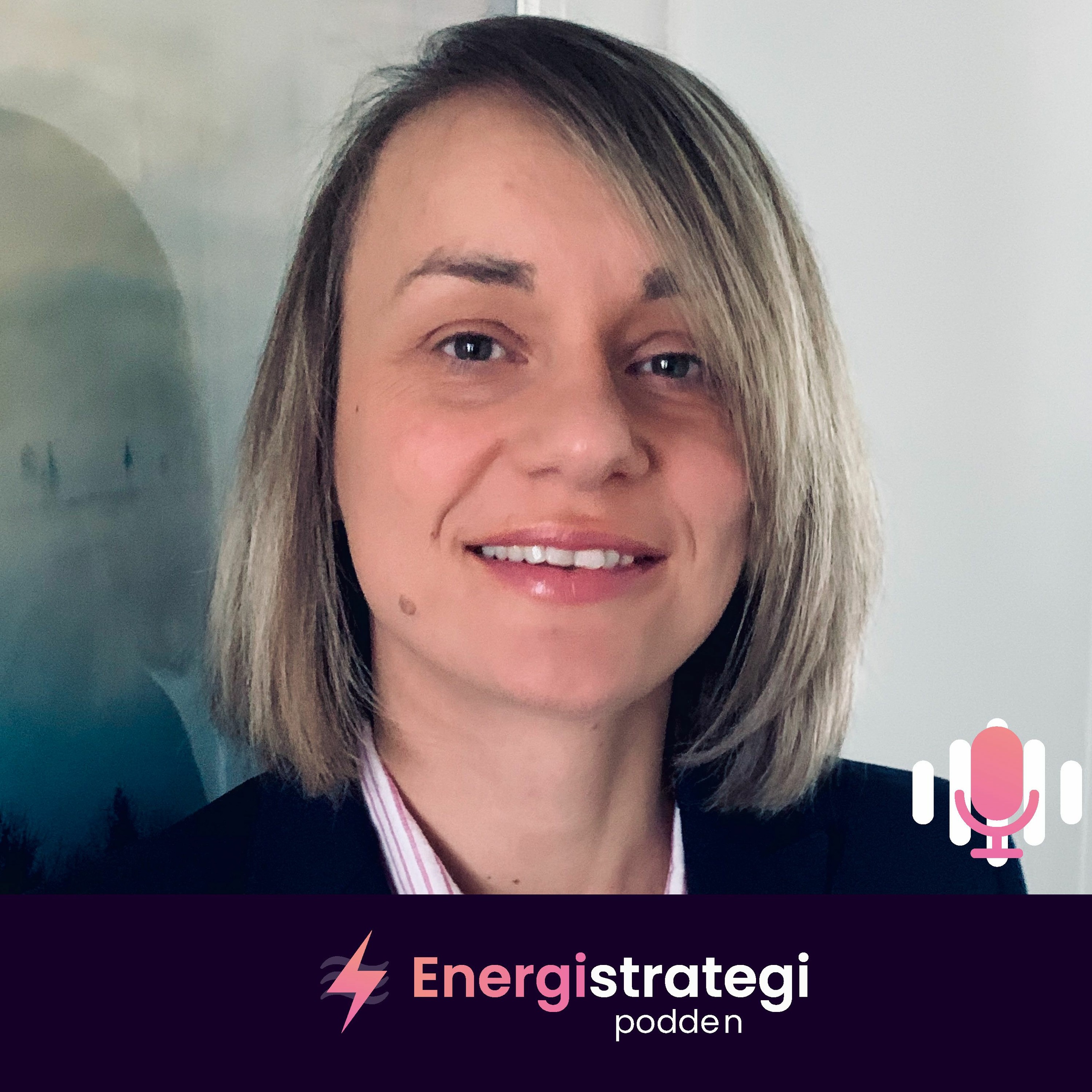 Energistrategipodden