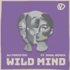 Download Video: AJ Christou - Wild Mind Feat. Amal Nemer (Original Mix)