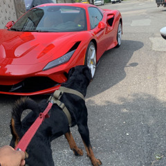 F*ck ya feelings #Jerseyclub