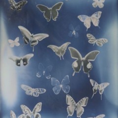 밤새-비오 편곡