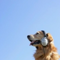 chimichangta ft xelaaa prod trippleopbeats