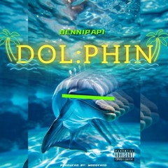 Bennipapi - Dolphin