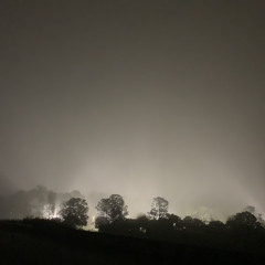 Please, don't go (feat. Steff) (unedited)