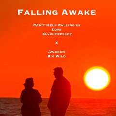 Falling Awake