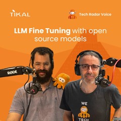 LLM Fine Tuning with open source models
